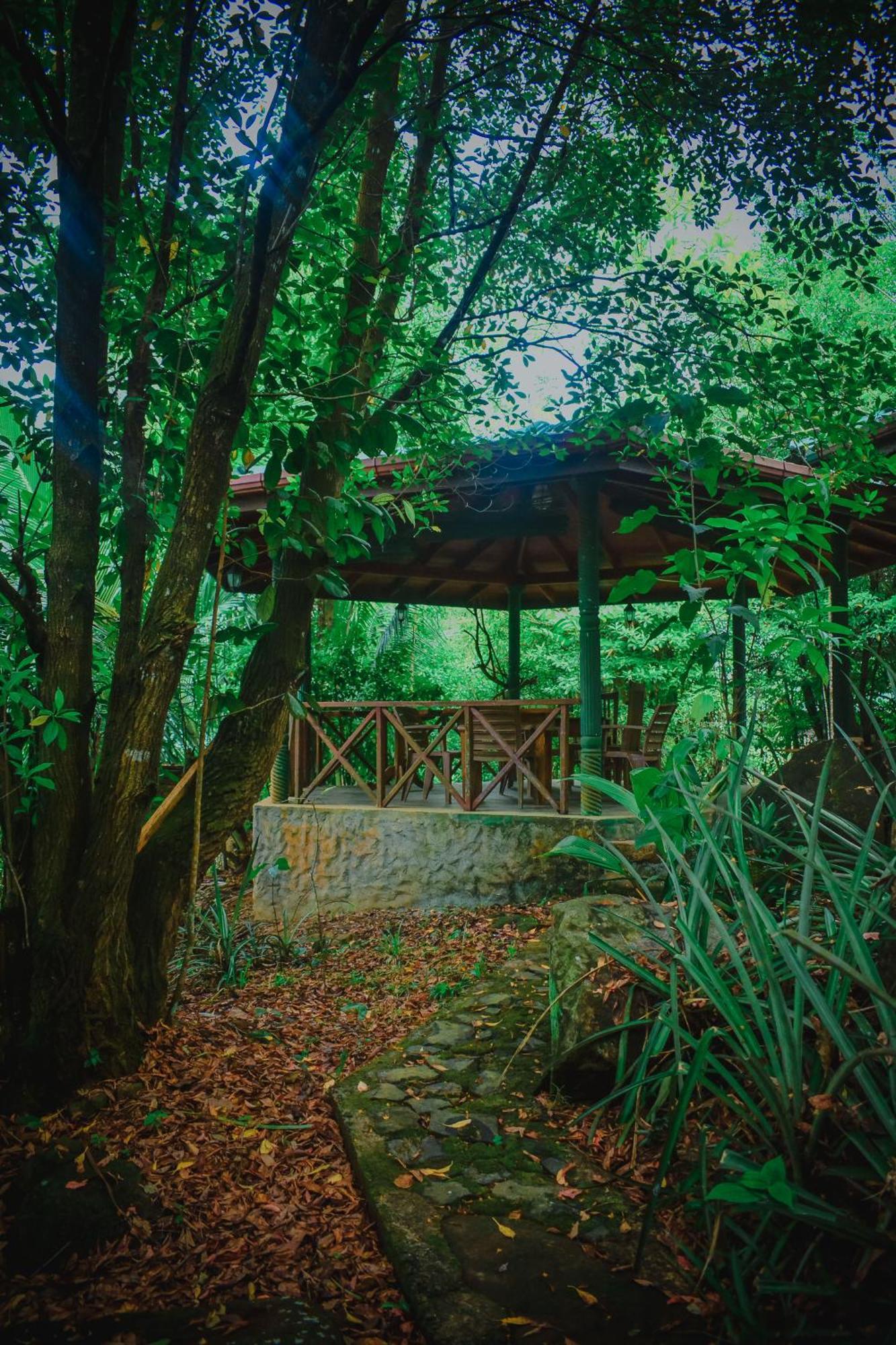 Sinharaja Rest Hotel Deniyaya Luaran gambar