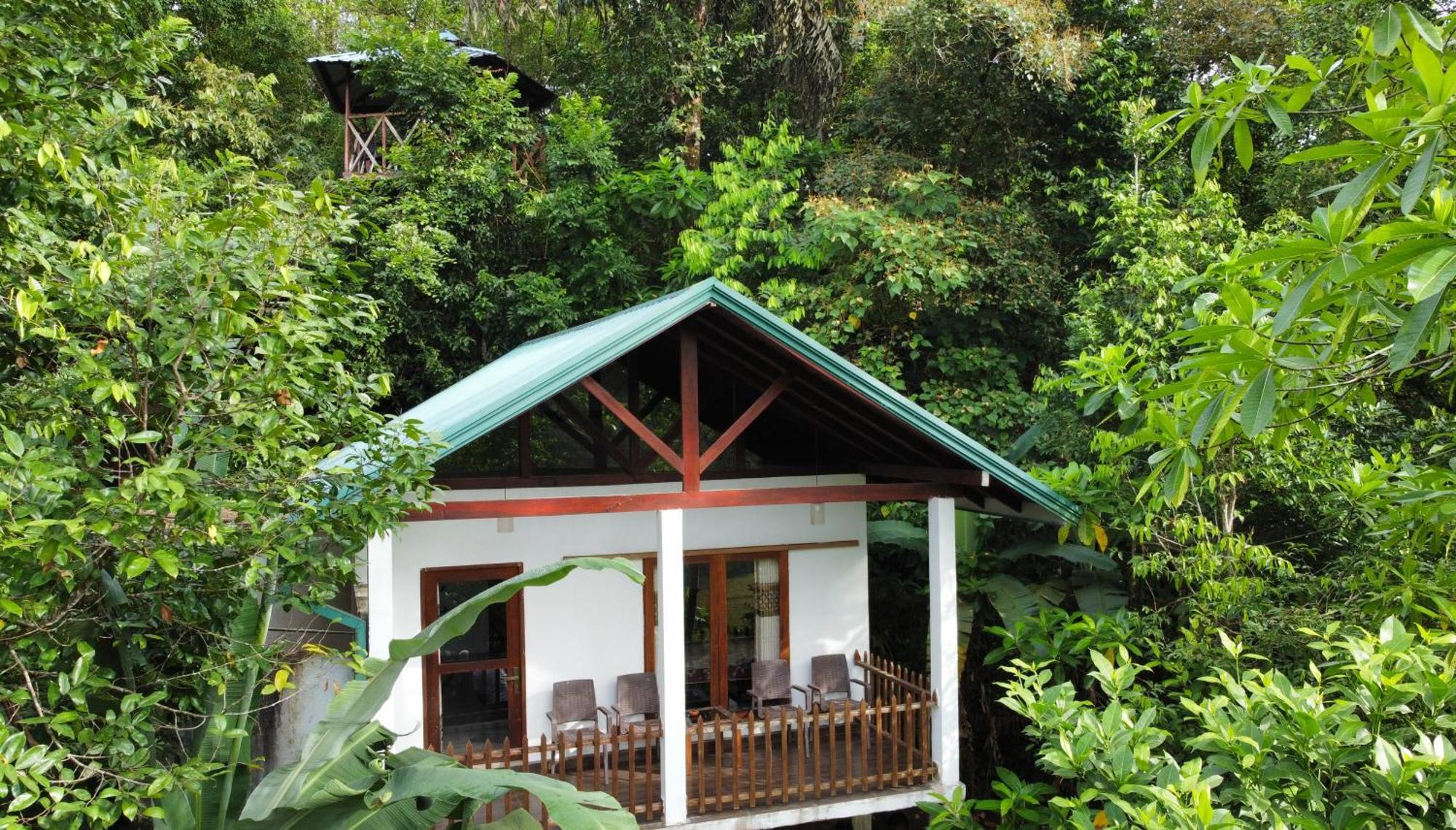 Sinharaja Rest Hotel Deniyaya Luaran gambar