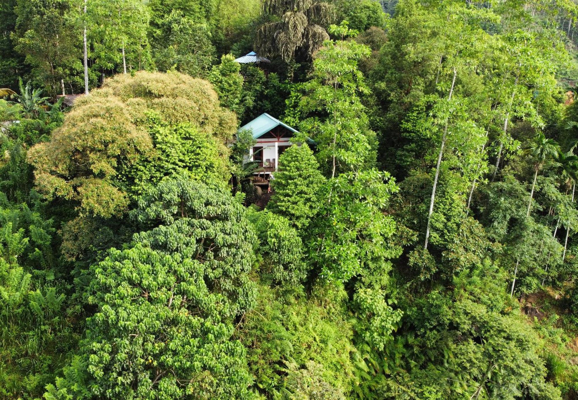 Sinharaja Rest Hotel Deniyaya Luaran gambar