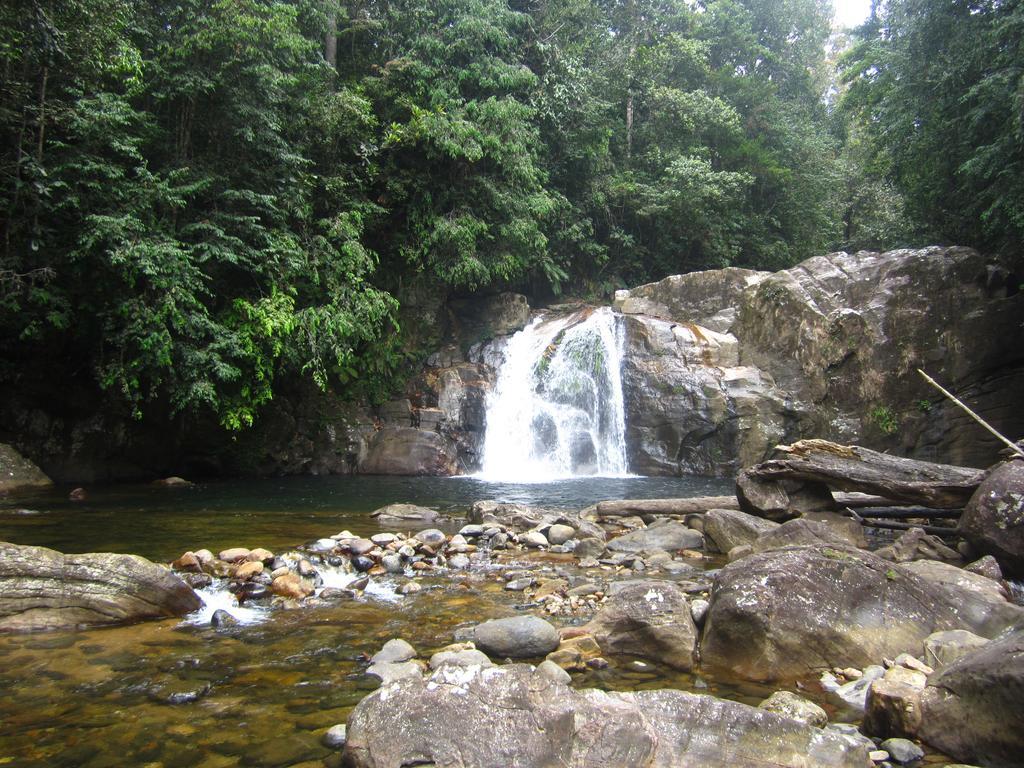 Sinharaja Rest Hotel Deniyaya Luaran gambar